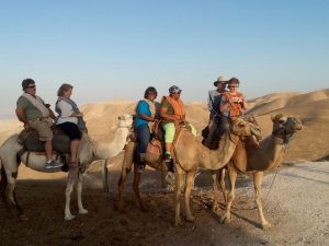 photo of Riding on camels in the desert